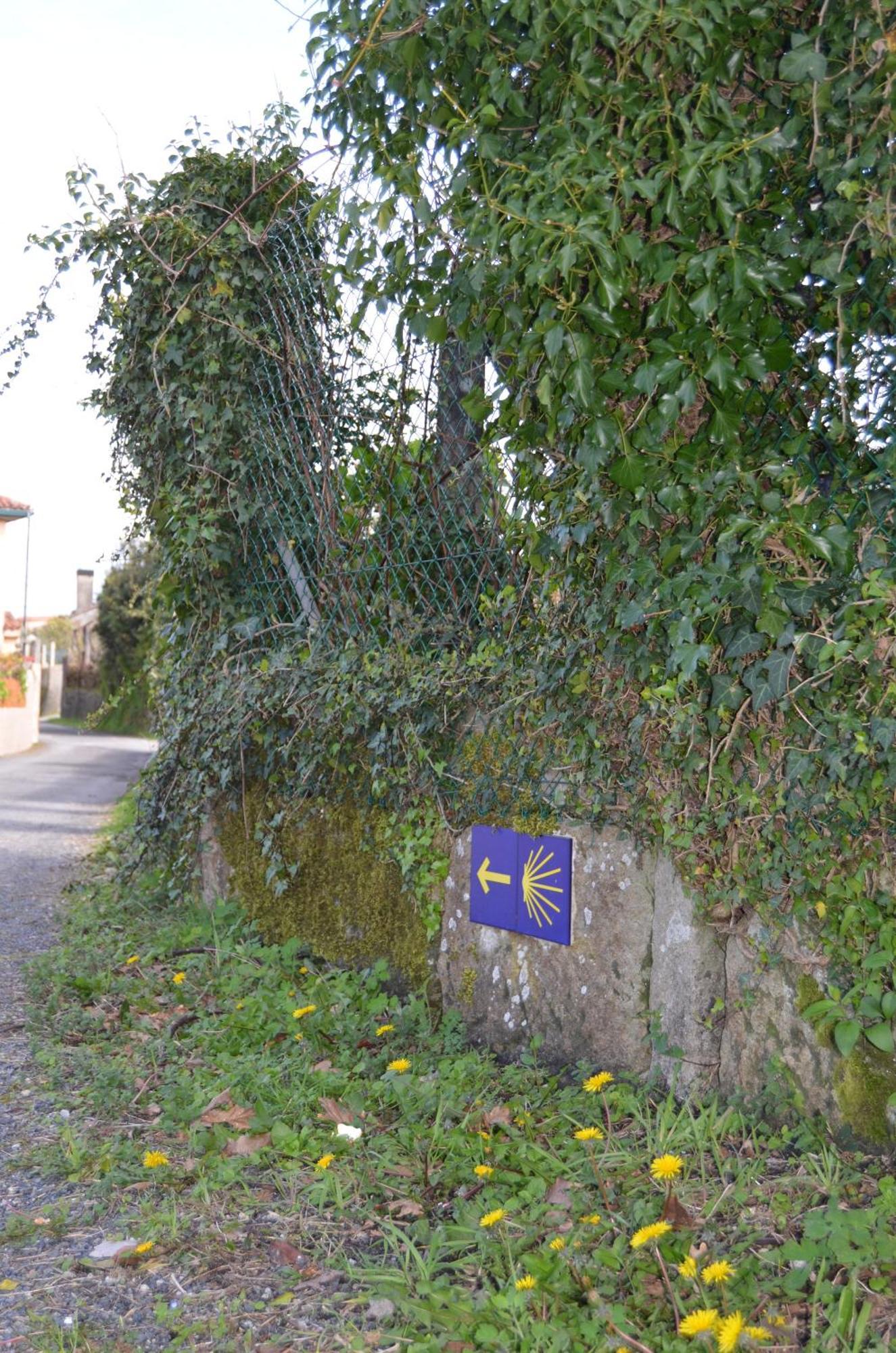 Villa Casa Aurora Teo Esterno foto